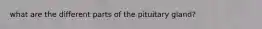 what are the different parts of the pituitary gland?