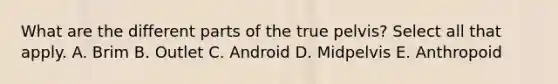 What are the different parts of the true pelvis? Select all that apply. A. Brim B. Outlet C. Android D. Midpelvis E. Anthropoid