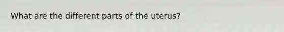 What are the different parts of the uterus?