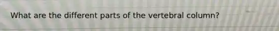 What are the different parts of the vertebral column?