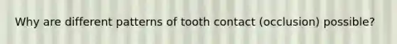 Why are different patterns of tooth contact (occlusion) possible?