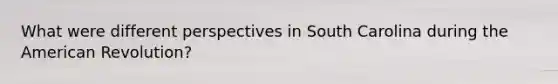 What were different perspectives in South Carolina during the American Revolution?