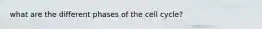 what are the different phases of the cell cycle?