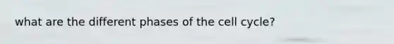 what are the different phases of the cell cycle?