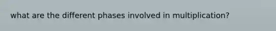 what are the different phases involved in multiplication?