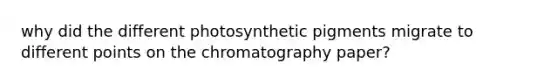 why did the different photosynthetic pigments migrate to different points on the chromatography paper?