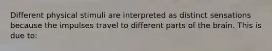 Different physical stimuli are interpreted as distinct sensations because the impulses travel to different parts of <a href='https://www.questionai.com/knowledge/kLMtJeqKp6-the-brain' class='anchor-knowledge'>the brain</a>. This is due to: