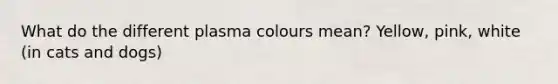 What do the different plasma colours mean? Yellow, pink, white (in cats and dogs)