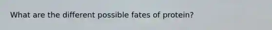 What are the different possible fates of protein?