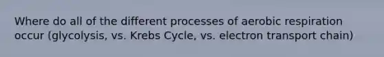 Where do all of the different processes of aerobic respiration occur (glycolysis, vs. Krebs Cycle, vs. electron transport chain)