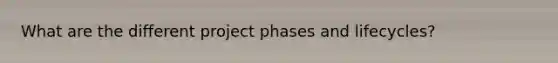 What are the different project phases and lifecycles?