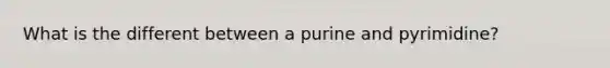 What is the different between a purine and pyrimidine?