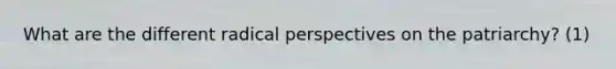 What are the different radical perspectives on the patriarchy? (1)