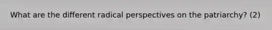 What are the different radical perspectives on the patriarchy? (2)