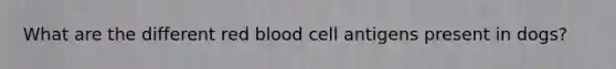 What are the different red blood cell antigens present in dogs?