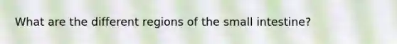 What are the different regions of the small intestine?