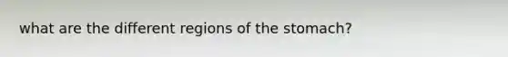 what are the different regions of the stomach?