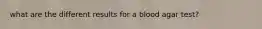 what are the different results for a blood agar test?