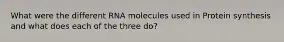 What were the different RNA molecules used in Protein synthesis and what does each of the three do?