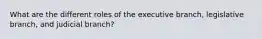 What are the different roles of the executive branch, legislative branch, and judicial branch?