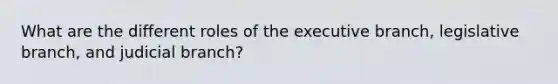 What are the different roles of the executive branch, legislative branch, and judicial branch?