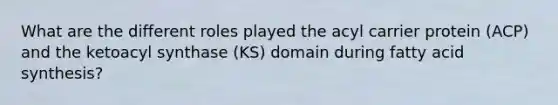 What are the different roles played the acyl carrier protein (ACP) and the ketoacyl synthase (KS) domain during fatty acid synthesis?