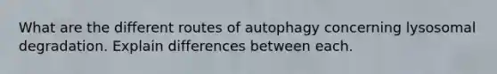 What are the different routes of autophagy concerning lysosomal degradation. Explain differences between each.