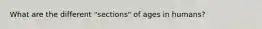 What are the different "sections" of ages in humans?