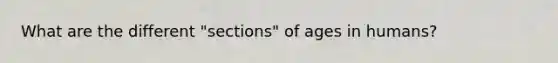 What are the different "sections" of ages in humans?