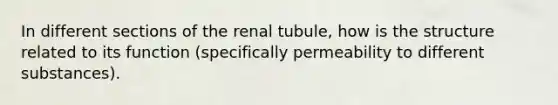 In different sections of the renal tubule, how is the structure related to its function (specifically permeability to different substances).