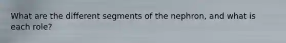 What are the different segments of the nephron, and what is each role?