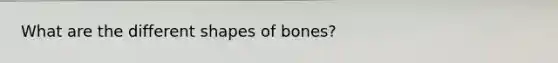 What are the different shapes of bones?