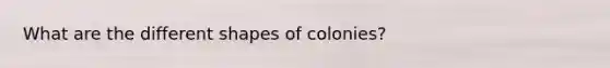 What are the different shapes of colonies?