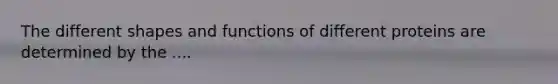 The different shapes and functions of different proteins are determined by the ....