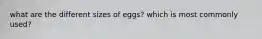 what are the different sizes of eggs? which is most commonly used?