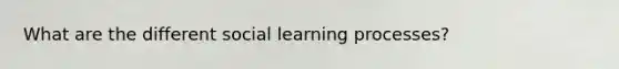 What are the different social learning processes?