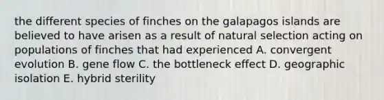 the different species of finches on the galapagos islands are believed to have arisen as a result of natural selection acting on populations of finches that had experienced A. convergent evolution B. gene flow C. the bottleneck effect D. geographic isolation E. hybrid sterility