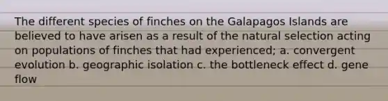 The different species of finches on the Galapagos Islands are believed to have arisen as a result of the natural selection acting on populations of finches that had experienced; a. convergent evolution b. geographic isolation c. the bottleneck effect d. gene flow
