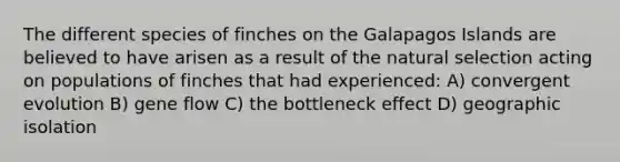 The different species of finches on the Galapagos Islands are believed to have arisen as a result of the natural selection acting on populations of finches that had experienced: A) convergent evolution B) gene flow C) the bottleneck effect D) geographic isolation