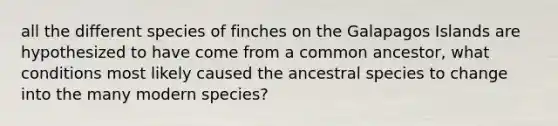 all the different species of finches on the Galapagos Islands are hypothesized to have come from a common ancestor, what conditions most likely caused the ancestral species to change into the many modern species?