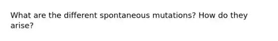 What are the different spontaneous mutations? How do they arise?