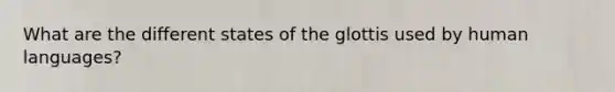 What are the different states of the glottis used by human languages?