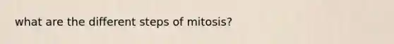 what are the different steps of mitosis?