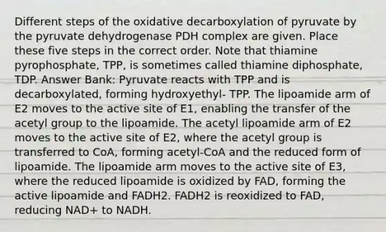 Different steps of the oxidative decarboxylation of pyruvate by the pyruvate dehydrogenase PDH complex are given. Place these five steps in the correct order. Note that thiamine pyrophosphate, TPP, is sometimes called thiamine diphosphate, TDP. Answer Bank: Pyruvate reacts with TPP and is decarboxylated, forming hydroxyethyl‑ TPP. The lipoamide arm of E2 moves to the active site of E1, enabling the transfer of the acetyl group to the lipoamide. The acetyl lipoamide arm of E2 moves to the active site of E2, where the acetyl group is transferred to CoA, forming acetyl‑CoA and the reduced form of lipoamide. The lipoamide arm moves to the active site of E3, where the reduced lipoamide is oxidized by FAD, forming the active lipoamide and FADH2. FADH2 is reoxidized to FAD, reducing NAD+ to NADH.