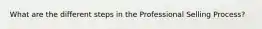 What are the different steps in the Professional Selling Process?