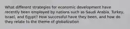 What different strategies for economic development have recently been employed by nations such as Saudi Arabia, Turkey, Israel, and Egypt? How successful have they been, and how do they relate to the theme of globalization