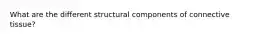 What are the different structural components of connective tissue?