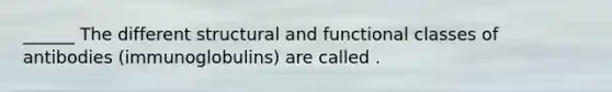 ______ The different structural and functional classes of antibodies (immunoglobulins) are called .