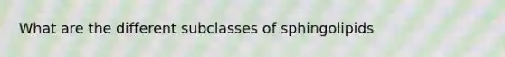 What are the different subclasses of sphingolipids