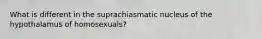 What is different in the suprachiasmatic nucleus of the hypothalamus of homosexuals?